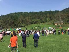 -武陵山森林公园