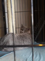 -飛凡TATTOO纹身•原创