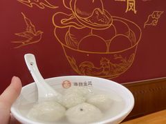 -海丝金凤(金鱼店)