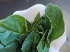 -南门四季铜锅涮肉(大屯·北苑店)