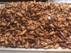 -蓝珊甄选海鲜自助·火锅大排档(近阿那亚店)