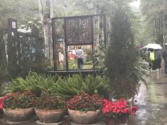 -瑞穗牧场