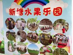 -新塘水果乐园(东洲大道店)