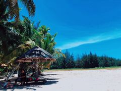 -东郊椰林