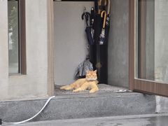 -Again Coffee Roaster(香蜜湖店)