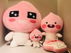 -KAKAO FRIENDS(弘大店)