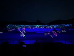 -鼎盛王朝康熙大典实景演出