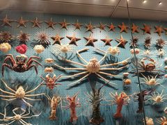 -贝林大翅鲸简餐厅(国家海洋博物馆店)