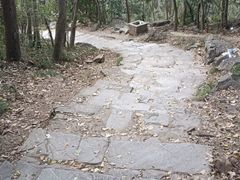 -紫金山山顶公园
