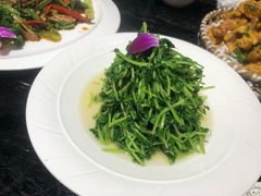 -金盛源( 虬江路店)