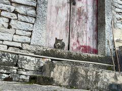 -高荡千年布依古寨旅游景区