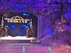 -广州长隆国际大马戏