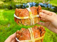 -丫丫蟹庄·苏式园林农家乐·阳澄湖大闸蟹(阳澄湖莲花岛店)