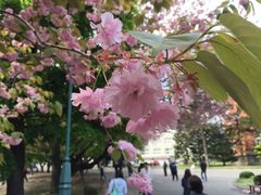 -北海道厅旧本厅舍(旧本庁舎)