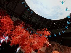 -雲蜀龙阁·金牌水煮鱼(方庄店)