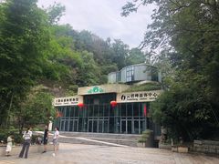 -云碧峰国家森林公园