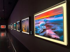 -罗红摄影艺术馆