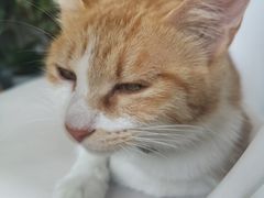 -隹木咖啡馆(宝龙广场店)