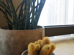 -不正咖啡(万达尊店)