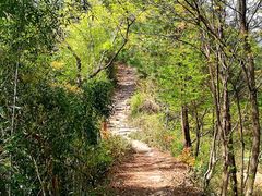 -东天目山风景区