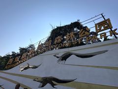 -西双版纳原始森林公园
