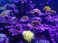 -皇家极地海洋世界-售票处