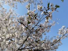 -龙美术馆(西岸馆)