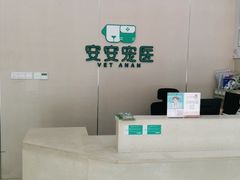 -安安宠医·安烨宠物医院·宠物保险(北仑分院)