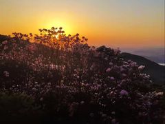 -梧桐山风景名胜区