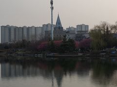 -桃花岛公园