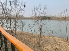 -东郊湿地公园