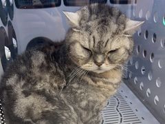 -FAELING PETS美天灵宠物(富力广场店)