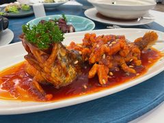 -圆苑(静安寺店)