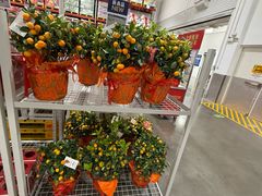 -山姆餐吧(山姆会员商店店)