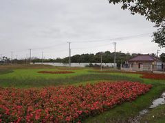 -上海长兴岛郊野公园