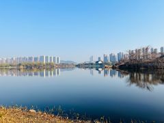 -洋湖国家湿地公园