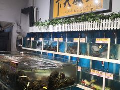 海鲜池-鑫悦楼煎蟹·16年海鲜大排档