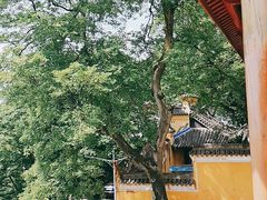 -涂山寺素食餐厅