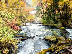 -叠溪松坪沟景区