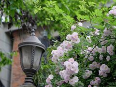 -常熟路(地铁站)