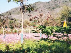 -三亚南山文化旅游区