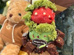 -哈根达斯(南京德基广场店)