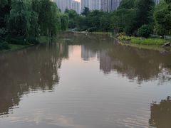 -堤角公园