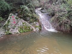 -王顺山国家森林公园