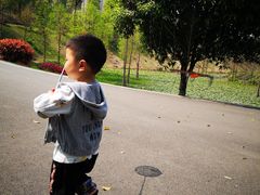 -东岳体育公园