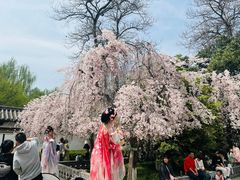 -西安青龙寺遗址景区