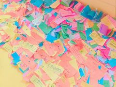 -志龙皇冠吃货椰子铺