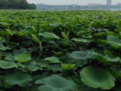 -坤济堂盲人推拿按摩