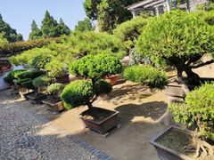 -泰山风景名胜区