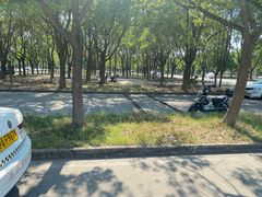-安飞驰驾校·学车连锁(金高店)